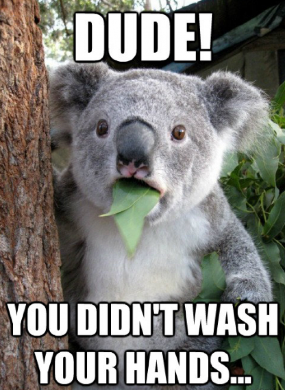 Wash your hands.